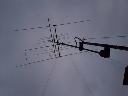 Diverse radiorum , ant fra TM 02